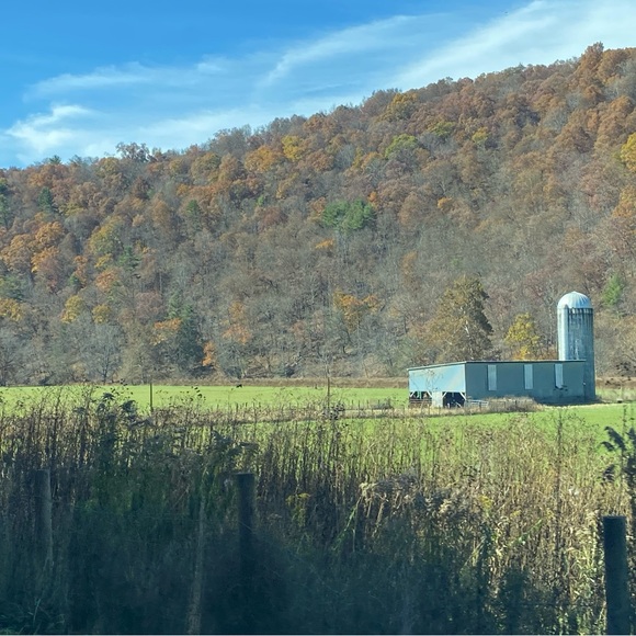 Thanks for a GREAT DAY!! 🥳❣️FLASH SALE HAS ENDED. 😑 - Picture 3 of 7